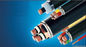 0.6/1KV Copper core PVC insulated PVC sheathed power cable VV22 supplier